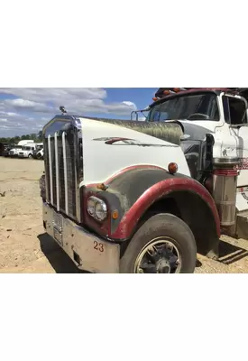 KENWORTH W900 HOOD