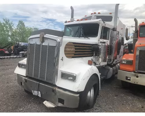 KENWORTH W900 Hood