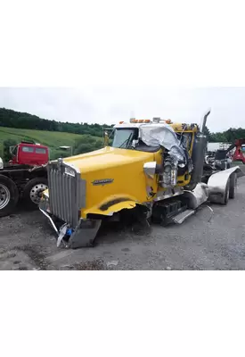 KENWORTH W900 Hood