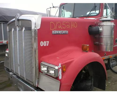 KENWORTH W900 Hood