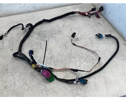 KENWORTH W900 Miscellaneous Parts