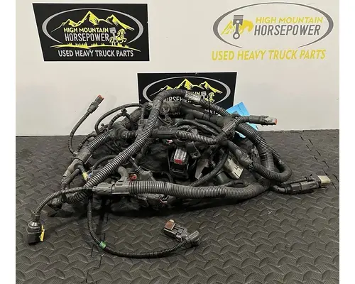 Engine Wiring Harness KENWORTH T400 High Mountain Horsepower