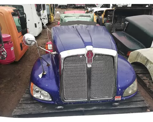 Hood KENWORTH T600A Camerota Truck Parts