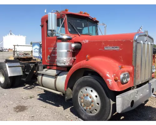 Kenworth W900A Door Assembly, Front