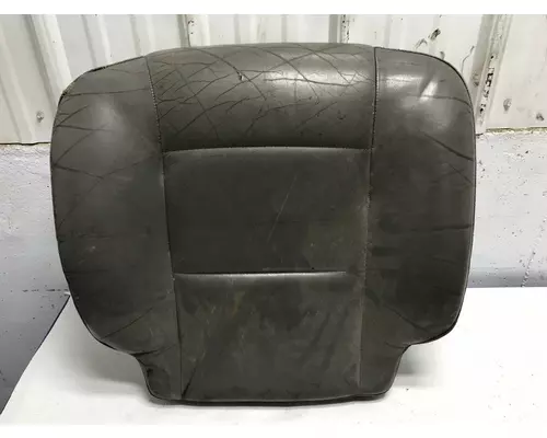Kenworth W900L Seat Cushion