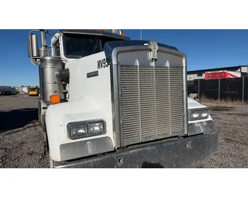 Kenworth W900 Hood