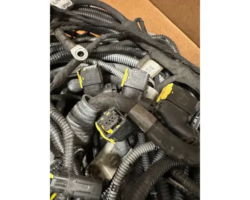 Electrical Parts, Misc. KENWORTH W900S High Mountain Horsepower