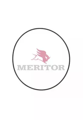 MERITOR-ROCKWELL RD20145 DIFFERENTIAL PARTS