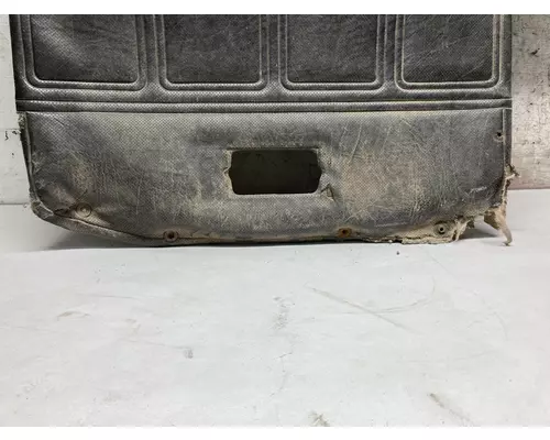 Door Panel (Trim) Mack CH Vander Haags Inc Sf