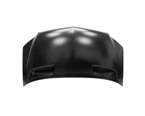 Hood MERCEDES-BENZ SPRINTER LKQ Plunks Truck Parts And Equipment - Jackson