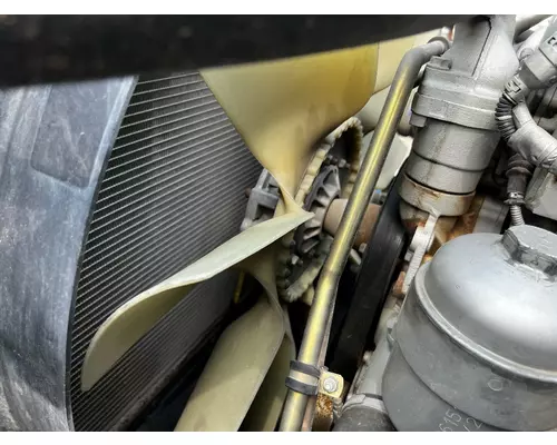 Fan Clutch MERCEDES M2 106 DTI Trucks