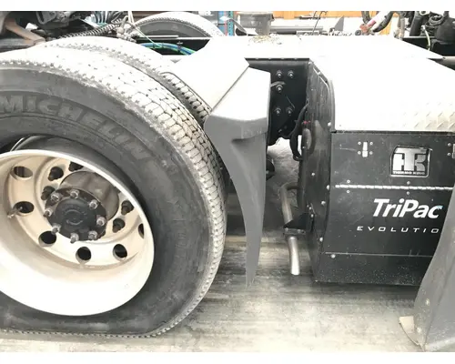Misc Manufacturer ANY Fender
