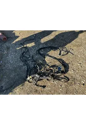PACCAR 348 Engine Wiring Harness
