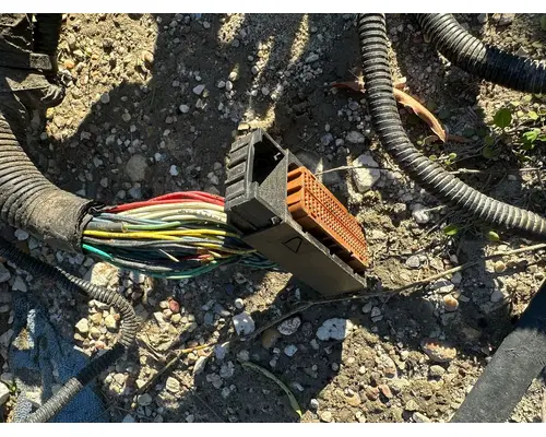 PACCAR 348 Engine Wiring Harness