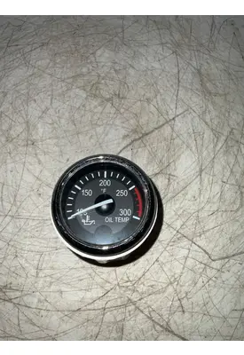 PACCAR  Instrument Cluster