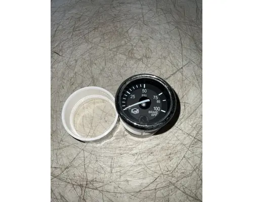 PACCAR  Instrument Cluster