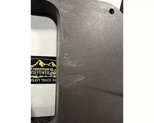 PETERBILT 320 Door Panel (Trim)