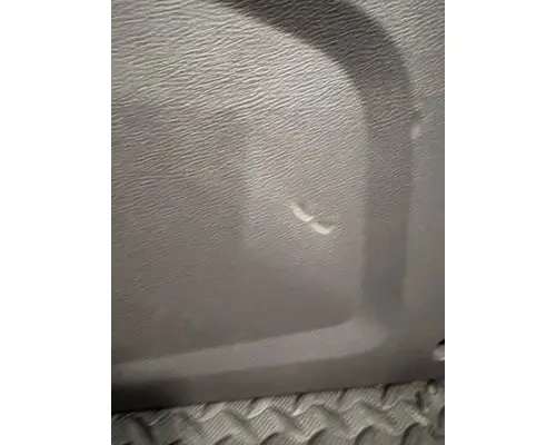 PETERBILT 320 Door Panel (Trim)