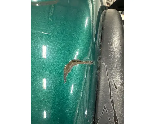 PETERBILT 348 Fender Extension