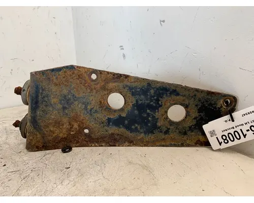 PETERBILT 357 Hood Hinge