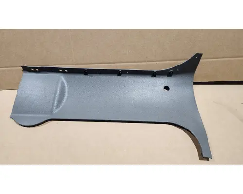 PETERBILT 365 Door Panel (Trim)