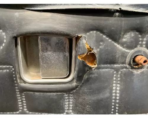 PETERBILT 378 Door Assembly, Front