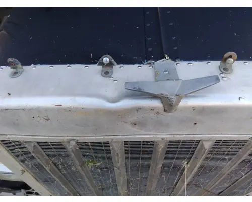 PETERBILT 379 EXHD 1987-2007 HOOD