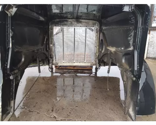 PETERBILT 379 EXHD 1987-2007 HOOD