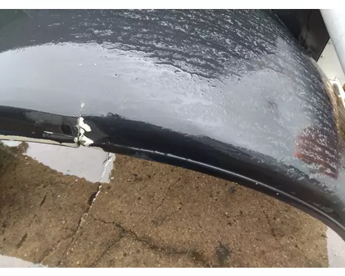 PETERBILT 379 EXHD 1987-2007 HOOD