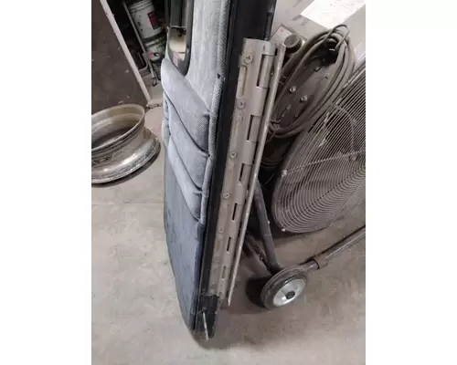 PETERBILT 379 DOOR ASSEMBLY, REAR OR BACK