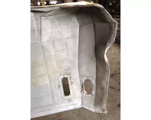 PETERBILT 379 Headliner