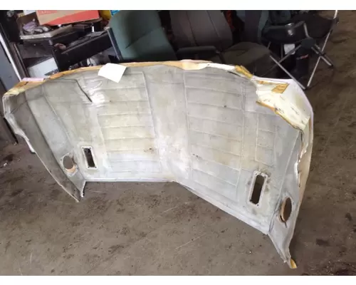 PETERBILT 379 Headliner