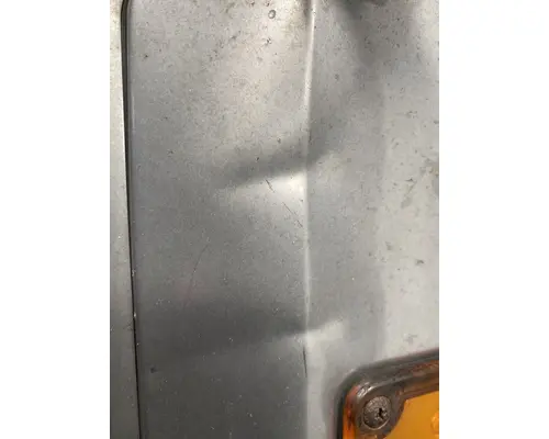 PETERBILT 379 Mirror (Side View)