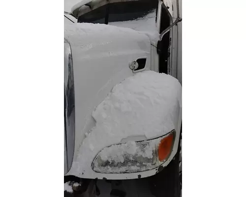 PETERBILT 384 HOOD