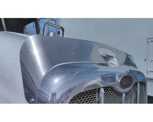 PETERBILT 386 BODY PARTS, MISC.