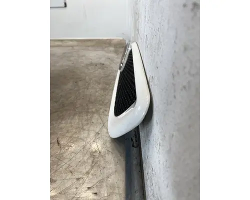 PETERBILT 386 Body Parts, Misc.