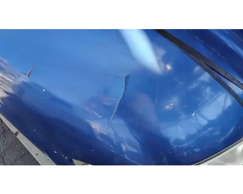 PETERBILT 386 Hood