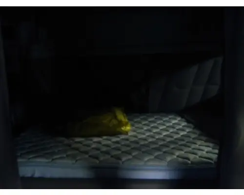 PETERBILT 386 SLEEPER BUNK