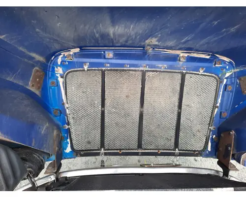 PETERBILT 387 1999-2011 HOOD