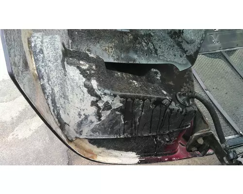 PETERBILT 387 1999-2011 HOOD