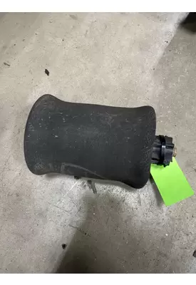 PETERBILT 387 Air Spring