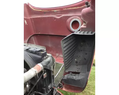 PETERBILT 387 HOOD