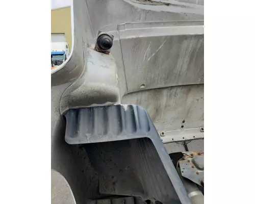 PETERBILT 387 Hood