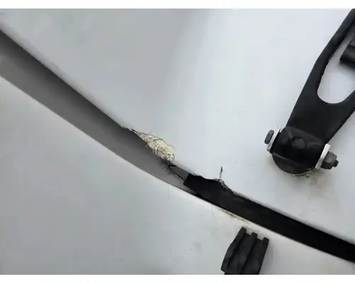PETERBILT 387 Hood