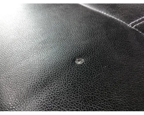 PETERBILT 387 SEAT, FRONT
