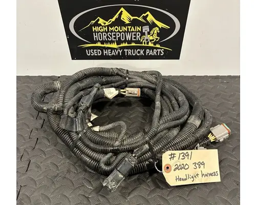 PETERBILT 389 Body Wiring Harness