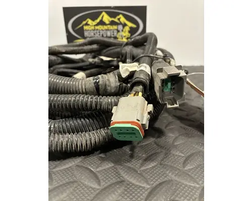 PETERBILT 389 Body Wiring Harness