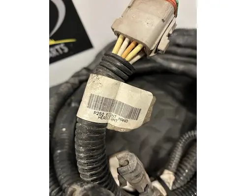 PETERBILT 389 Body Wiring Harness