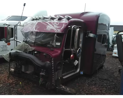 PETERBILT 389 CAB