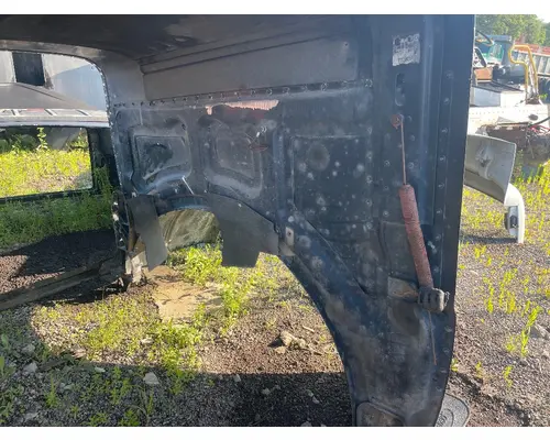 PETERBILT 389 Hood